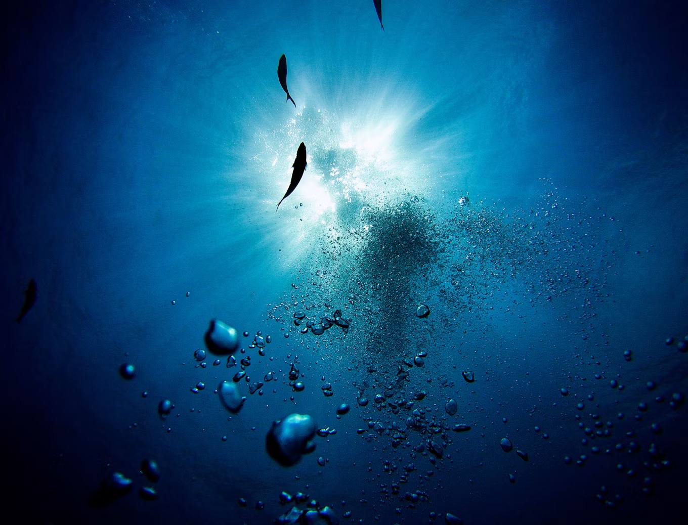 Beneath the surface, shafts of light coming down from above
