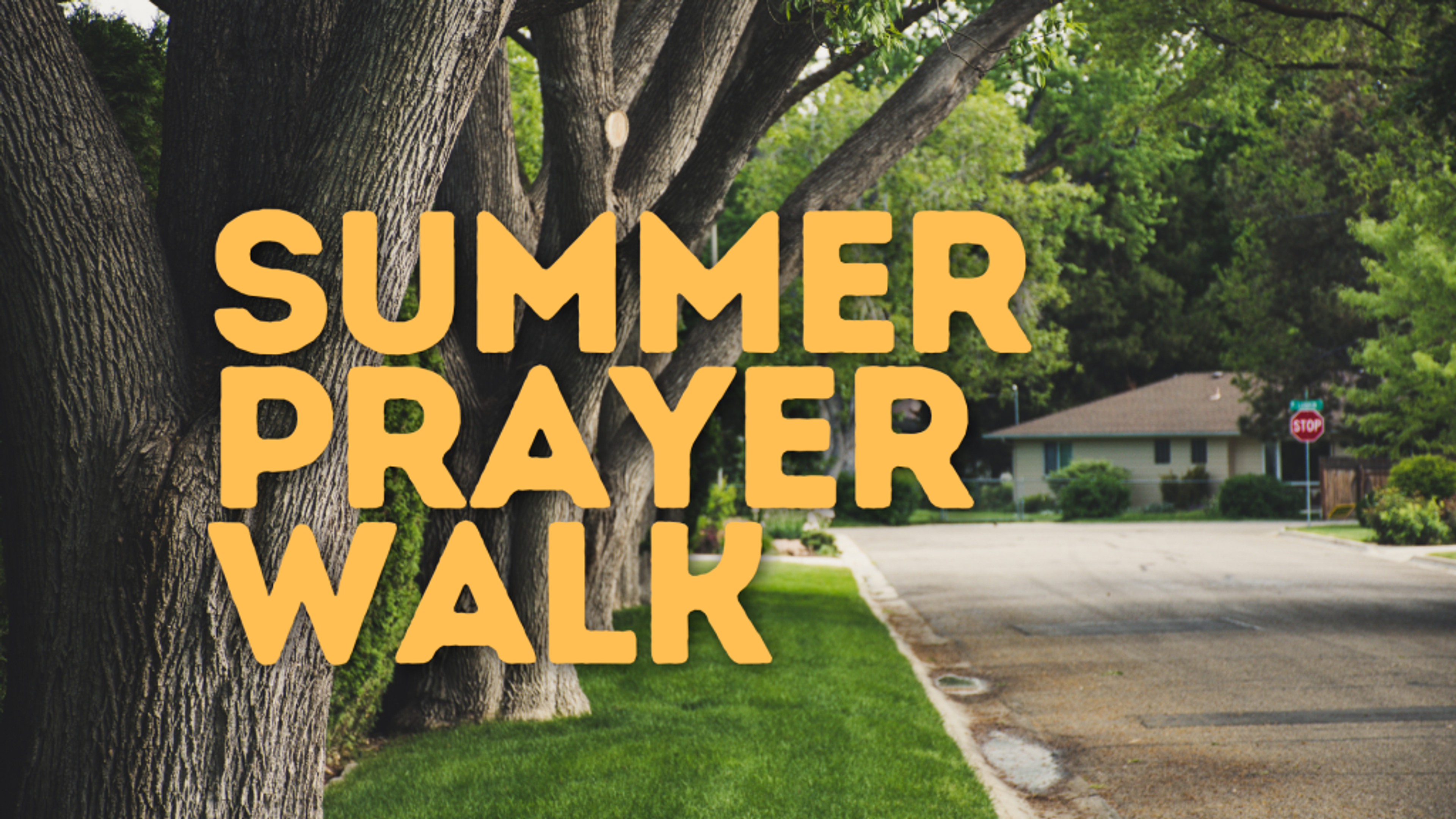 Summer Prayer Walks (PVD)