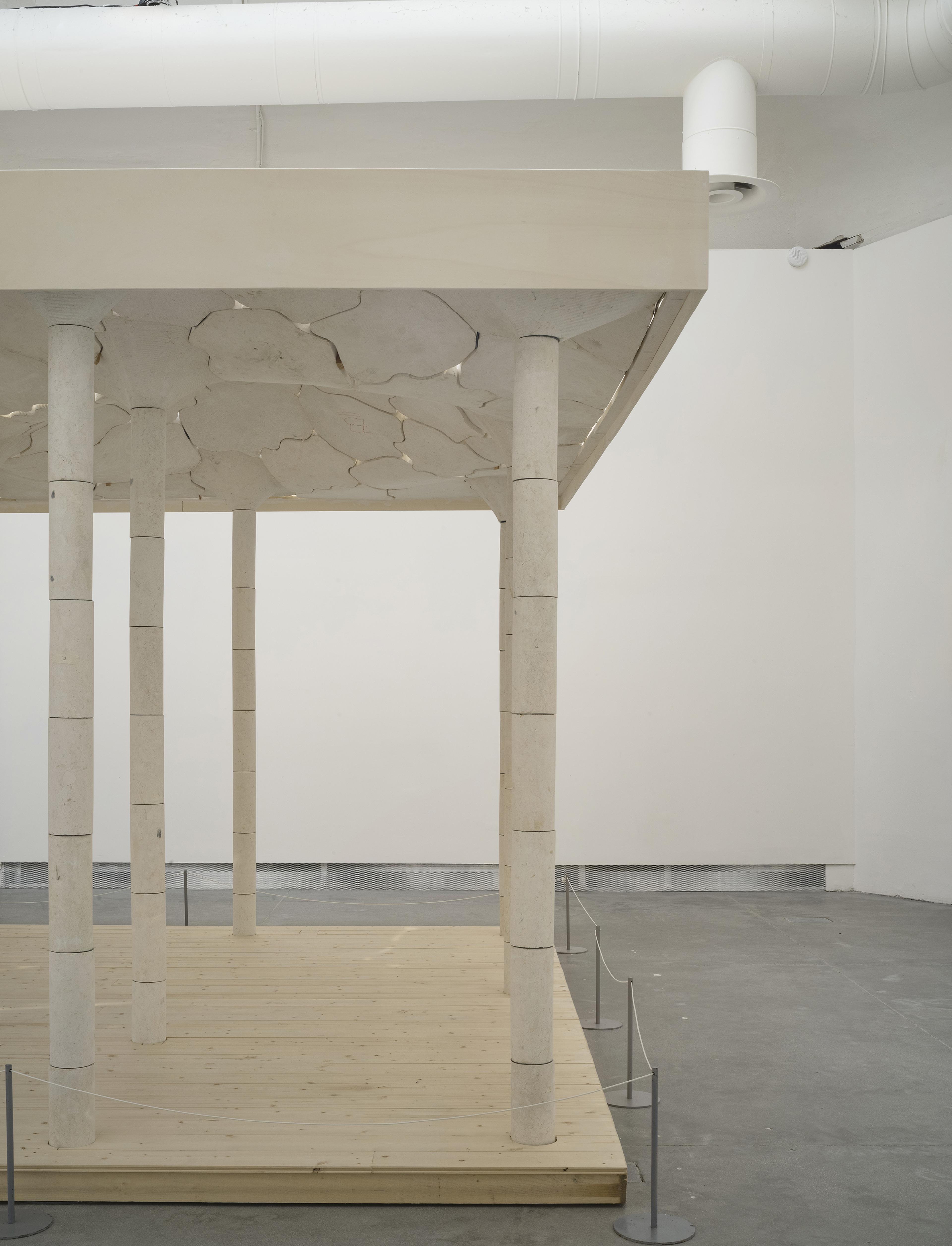 Photo of opening of All Purpose installation