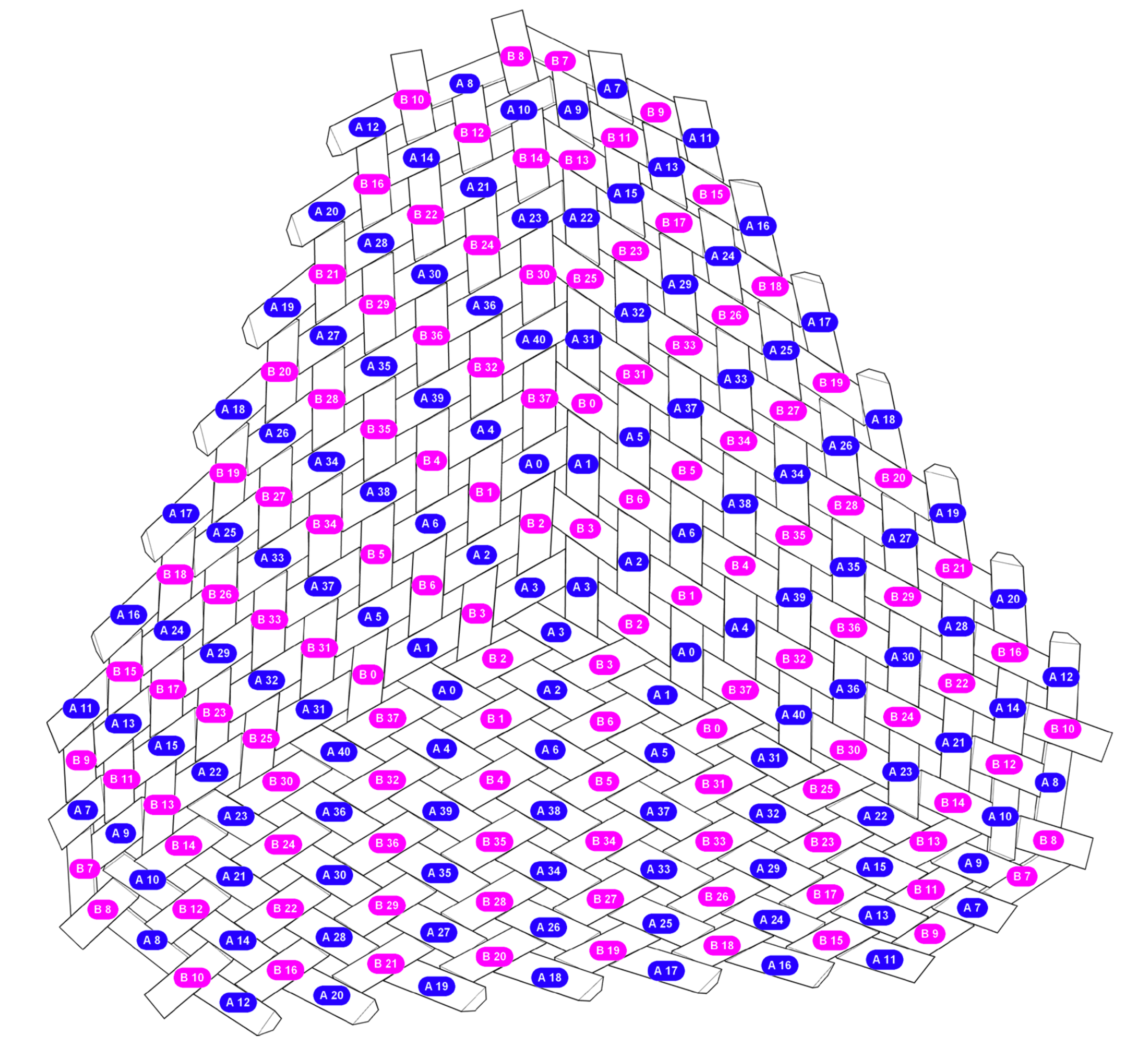 Digital drawing of sterotomy plan