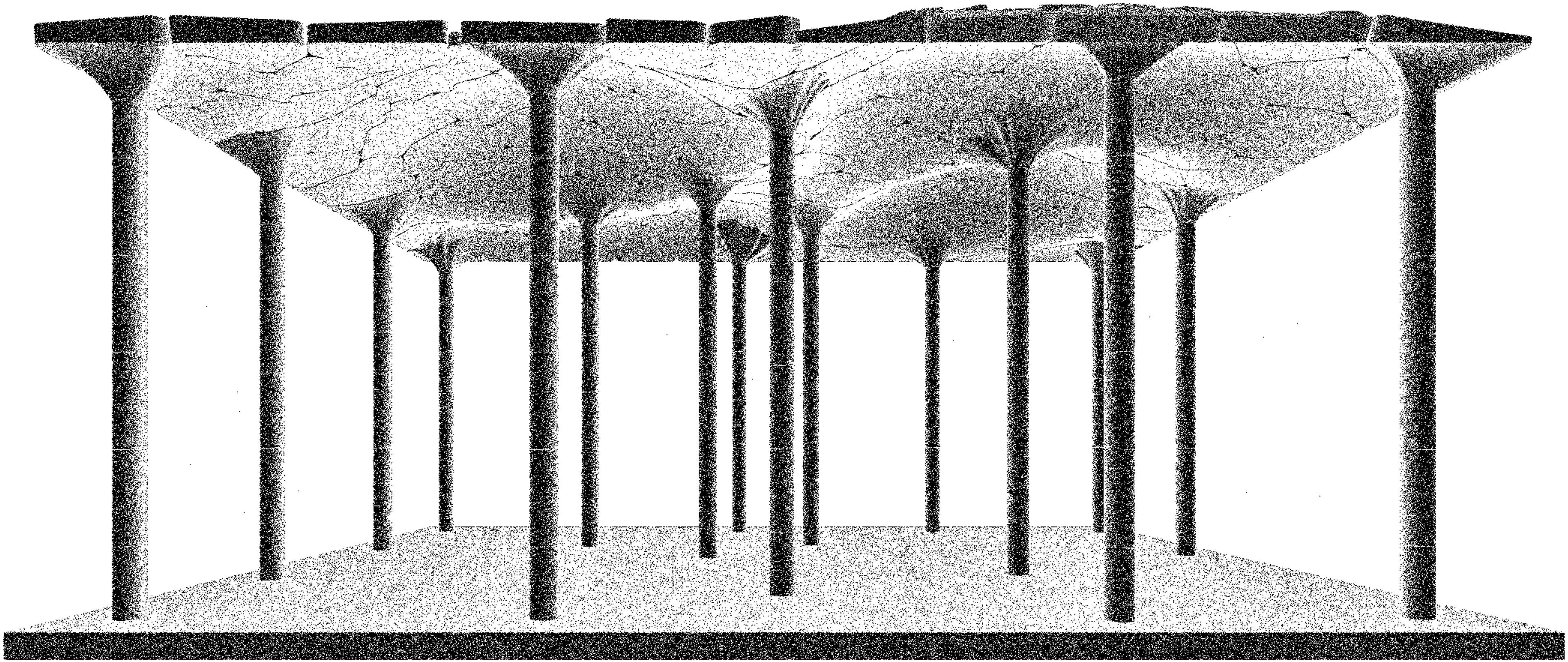 Digital drawing of All Purpose structure
