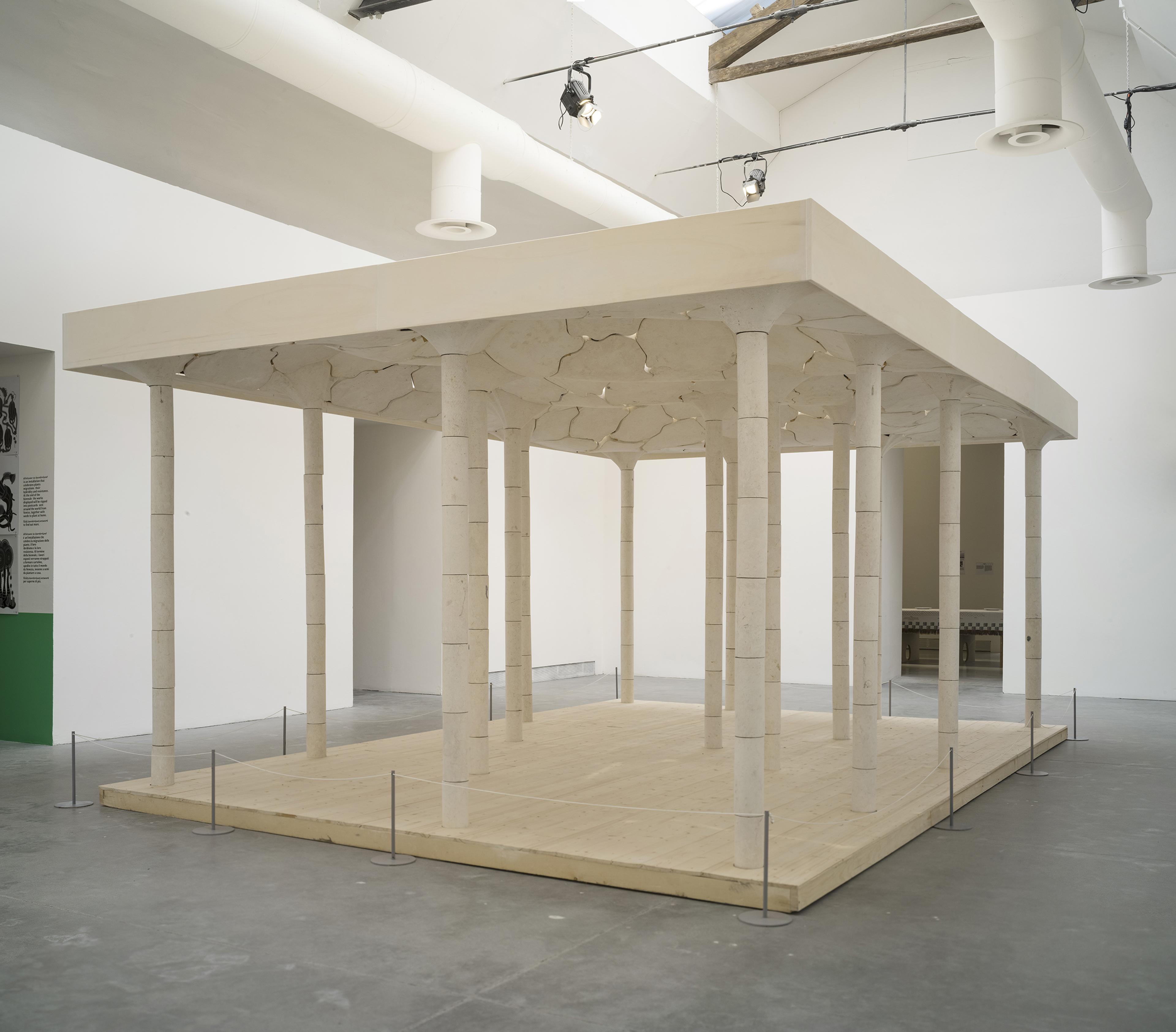Photo of opening of All Purpose installation