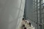 Image shows the Darwin Centre Cocoon in the Natural History Museum, London, where The Animal Interventions installation was broadcast. Installation composer: Coda to Coda