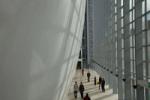 Image shows the Darwin Centre Cocoon in the Natural History Museum, London, where The Animal Interventions installation was broadcast. Installation composer: Coda to Coda