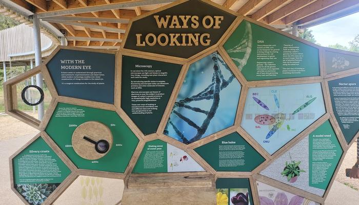 Liberating Ways of Looking
