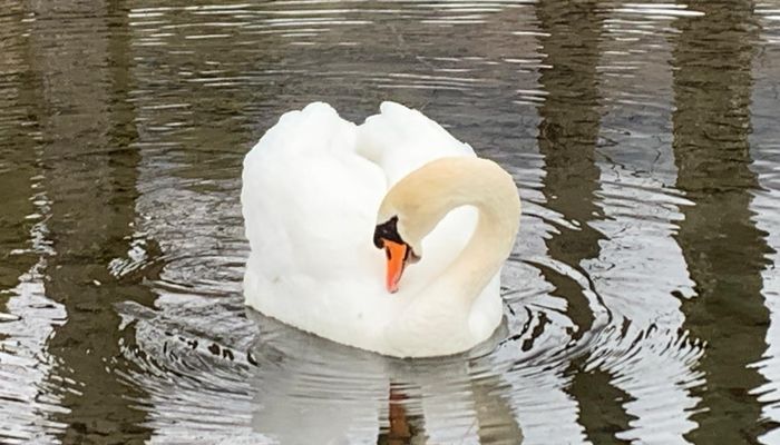 The Eye of the Heart retreat