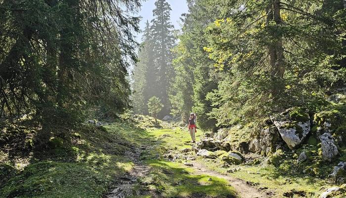 An Open Path