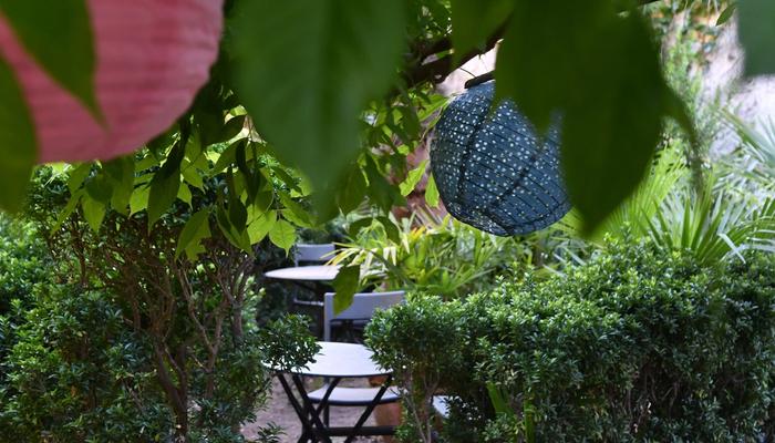 Your Own Refuge: November Solitary at Home