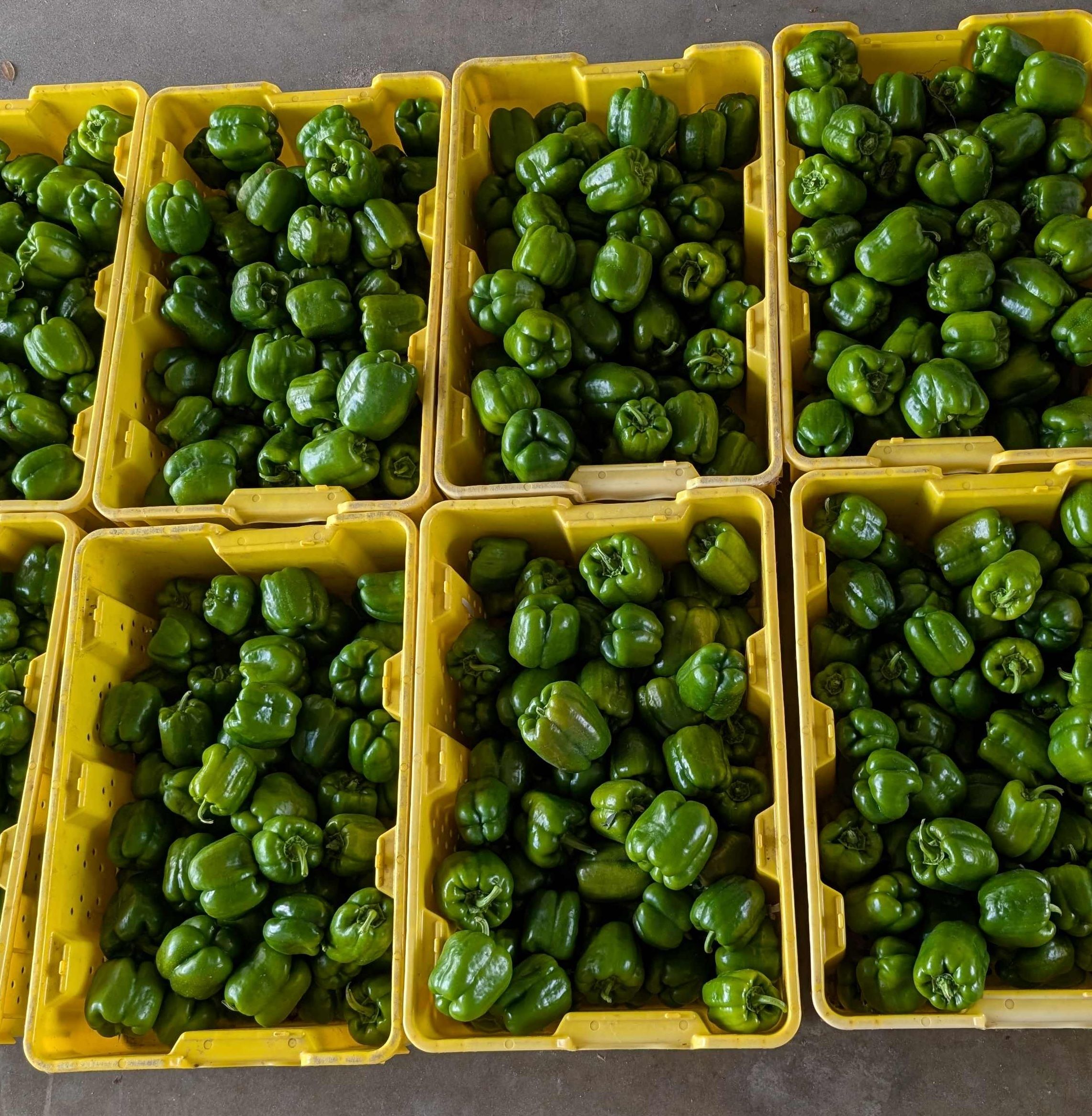 Fast Facts: Food Prices and Hunger