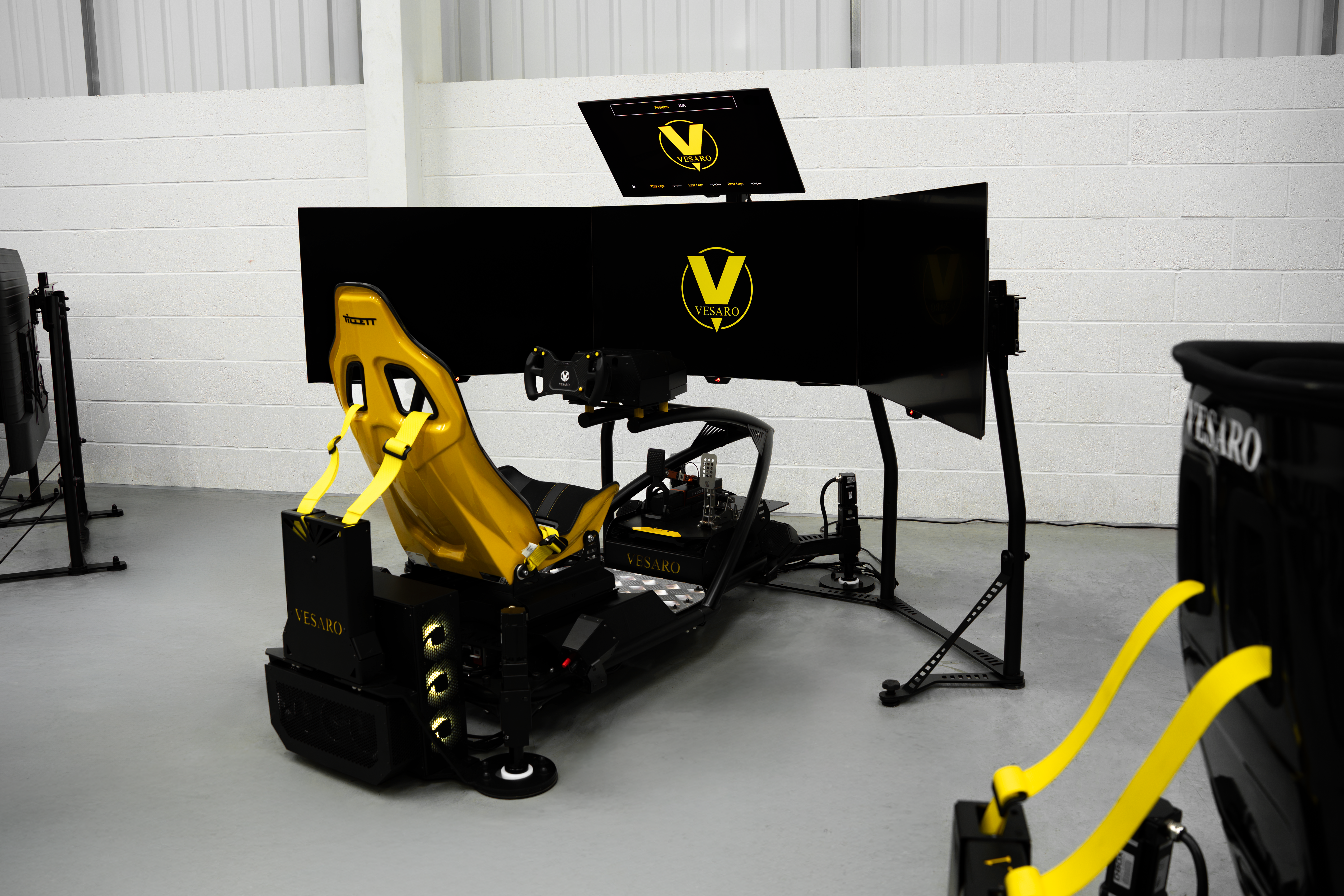 VESARO I PROFESSIONAL STAGE 4 (Ex Demo Unit)