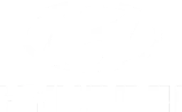 Hyundai Logo