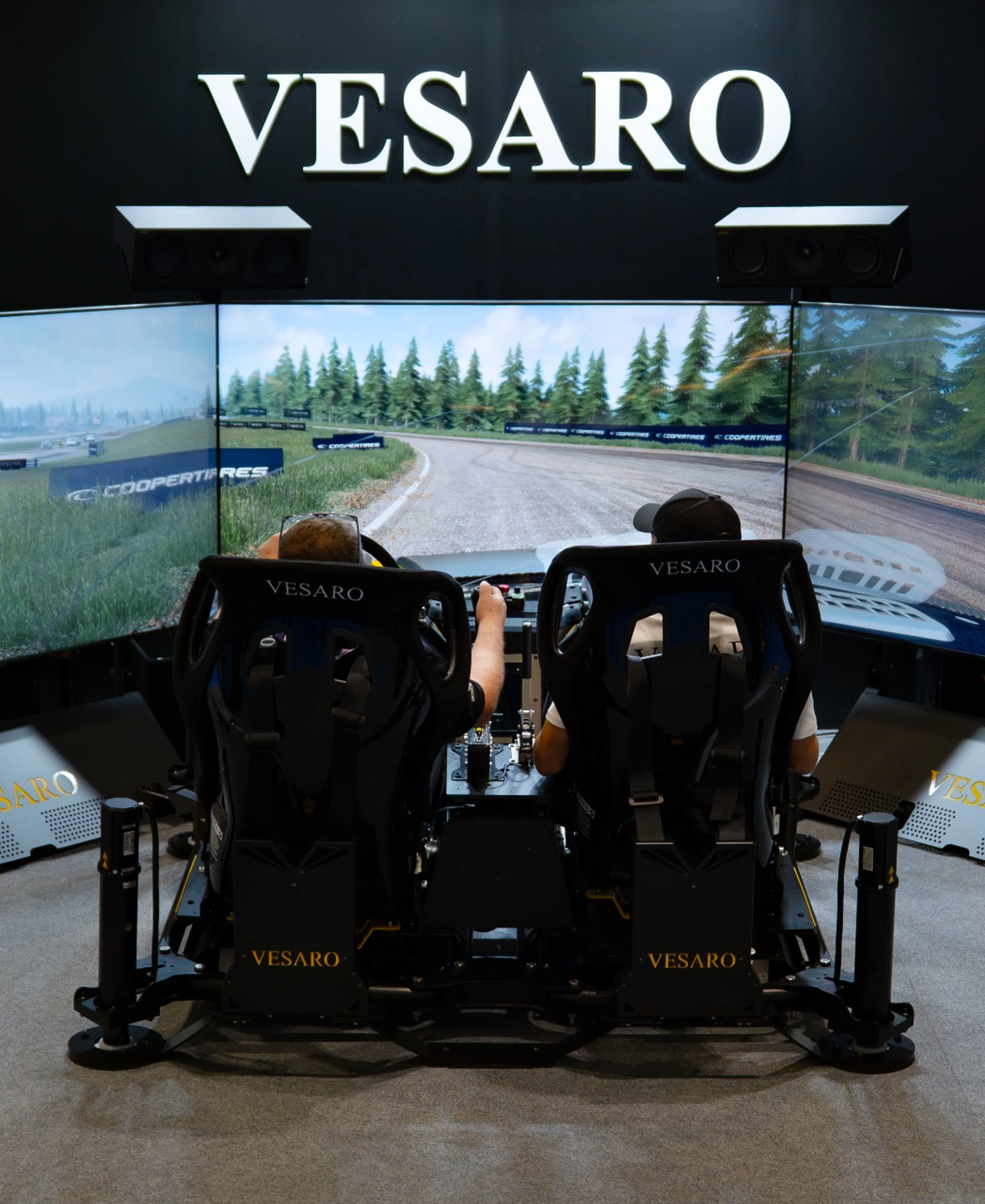 Two people in the two-seat Vesaro Rally simulator in front of its triple screens on the IAAPA stand