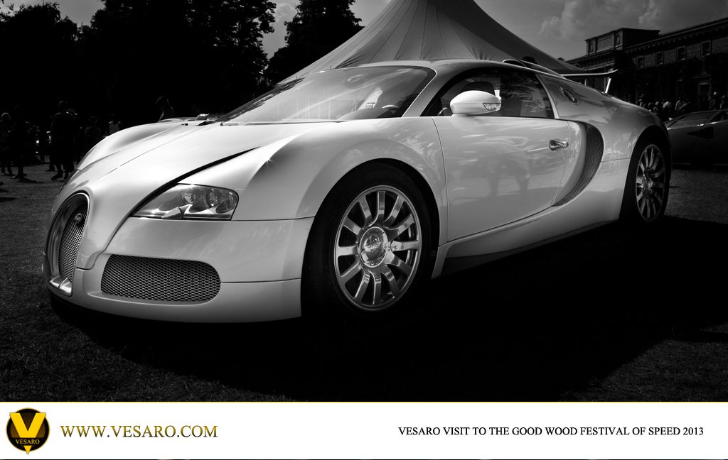 Black and white photo of a Bugatti Veyron parked on grass at Goodwood Festival of Speed 2013