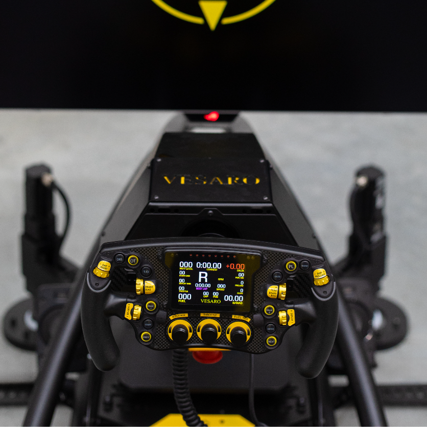 VESARO I PROFESSIONAL STAGE 4 (Ex Demo Unit)