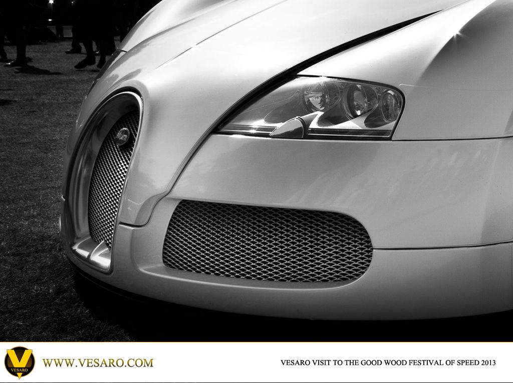 Black and white close-up of a Bugatti Veyron headlight, grille and front wing