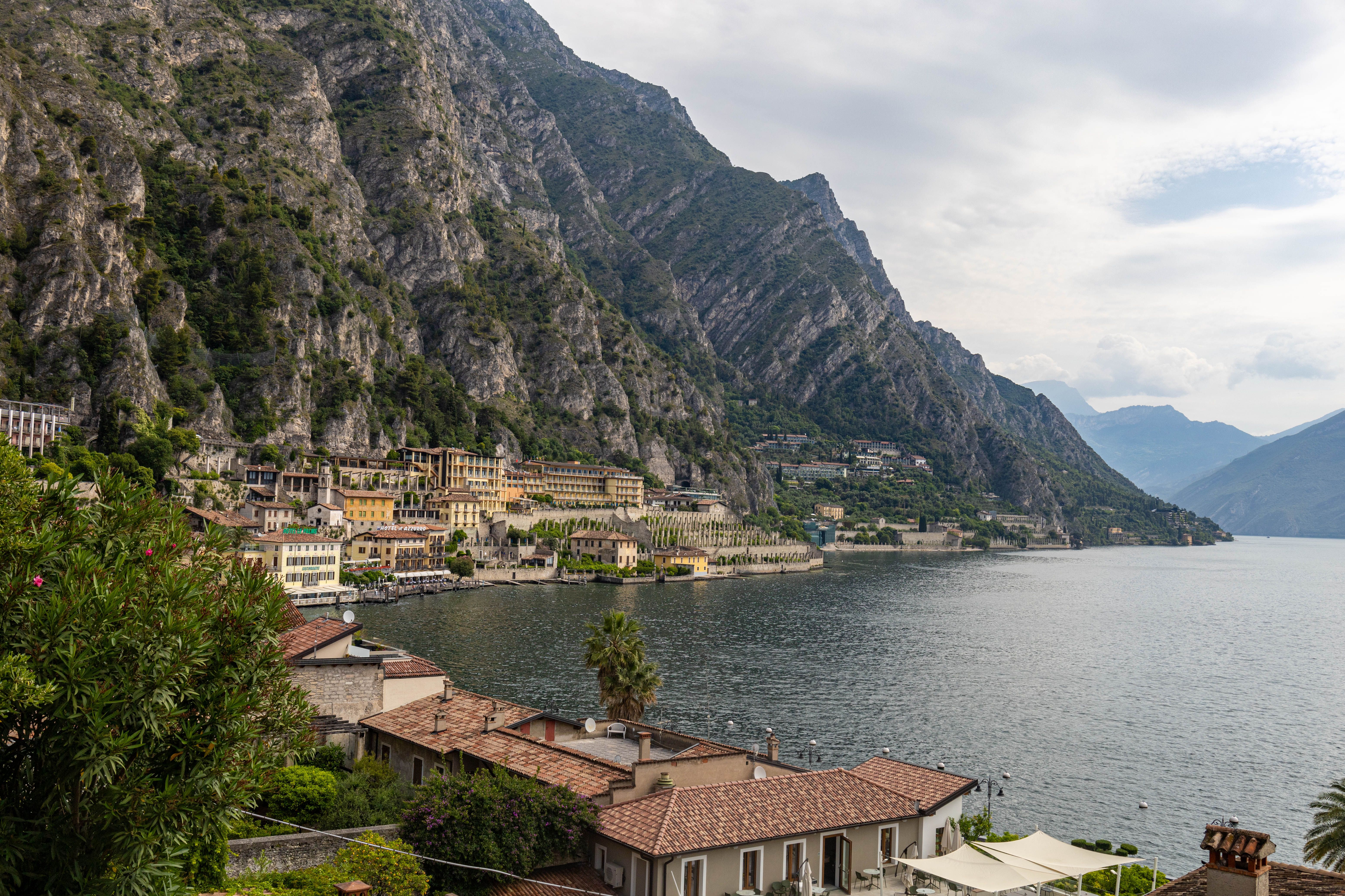 The town of lemons