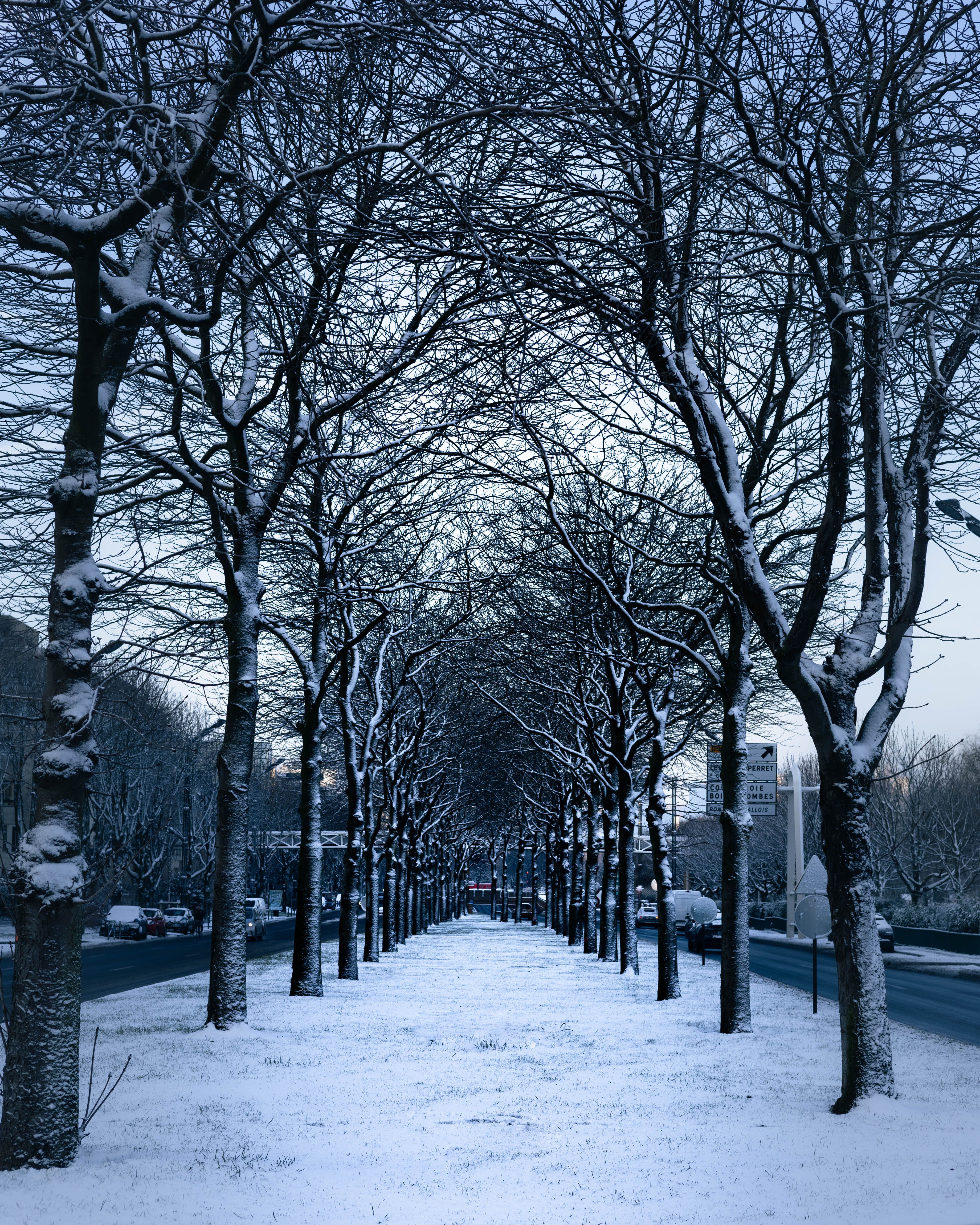 Symmetry in Snow