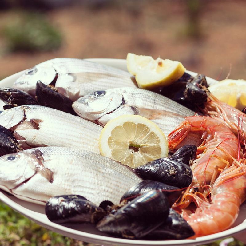Seafood: An Introduction