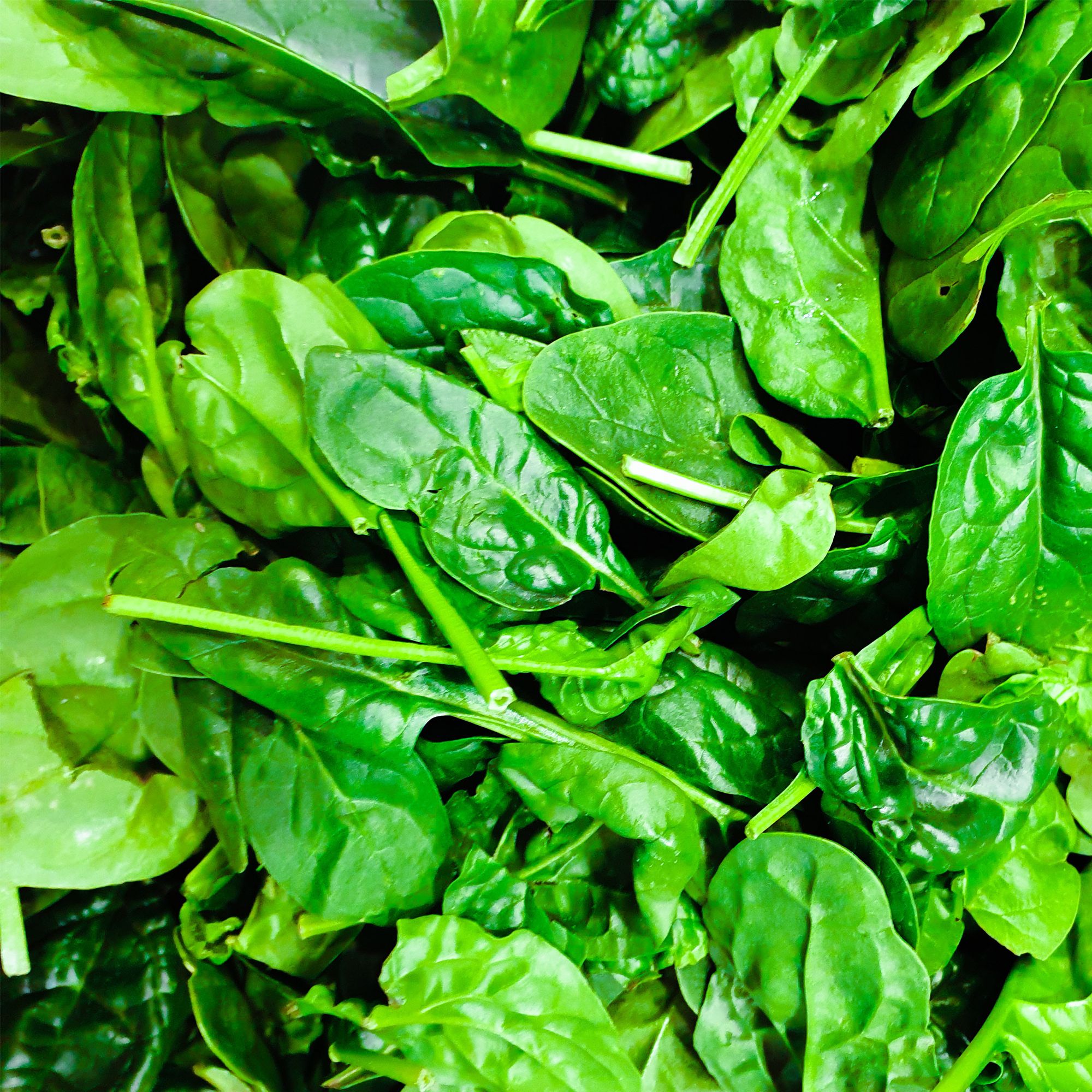 4 Leaves For Tasty Salads