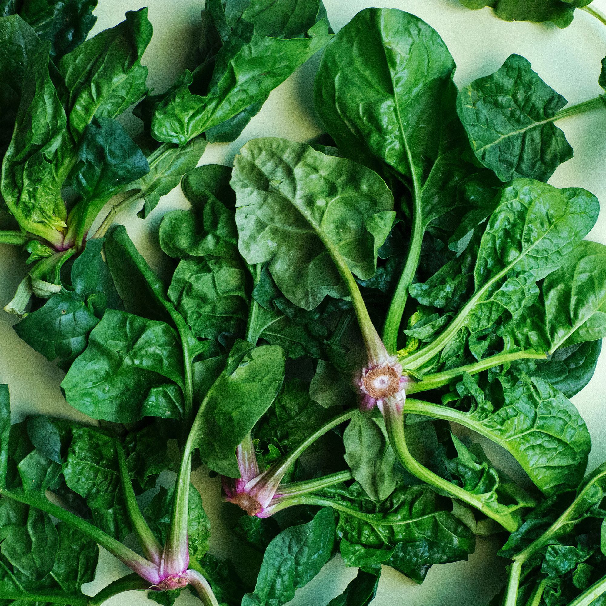 Super Spinach: Food Of The Future