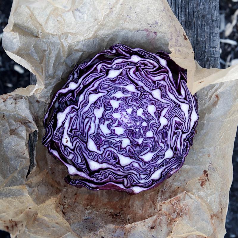Everything You Need To Know About: Red Cabbage
