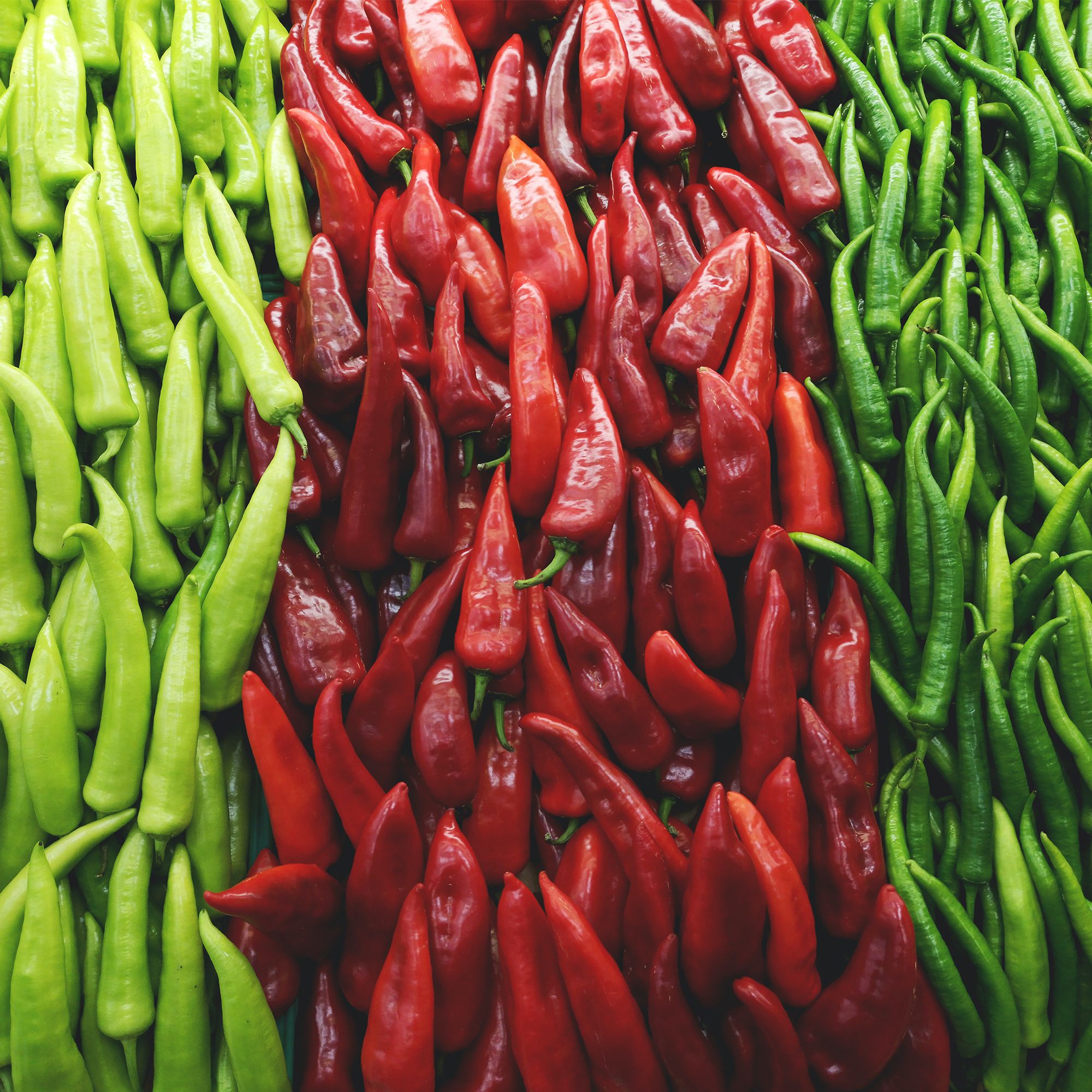 Everything You Didn’t Know About Chillies