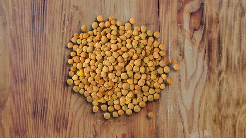 How To Cook Scrumptious Lentils