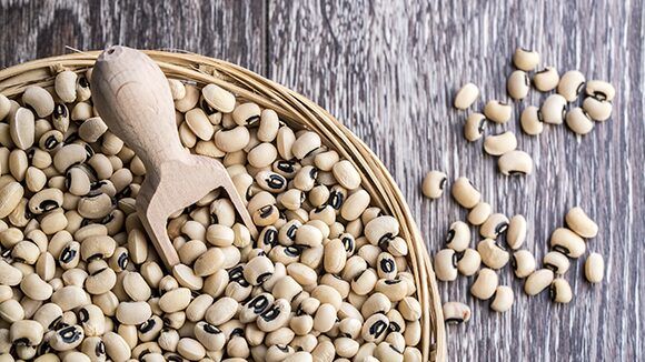 The Cowpea: Africa’s Miracle Crop