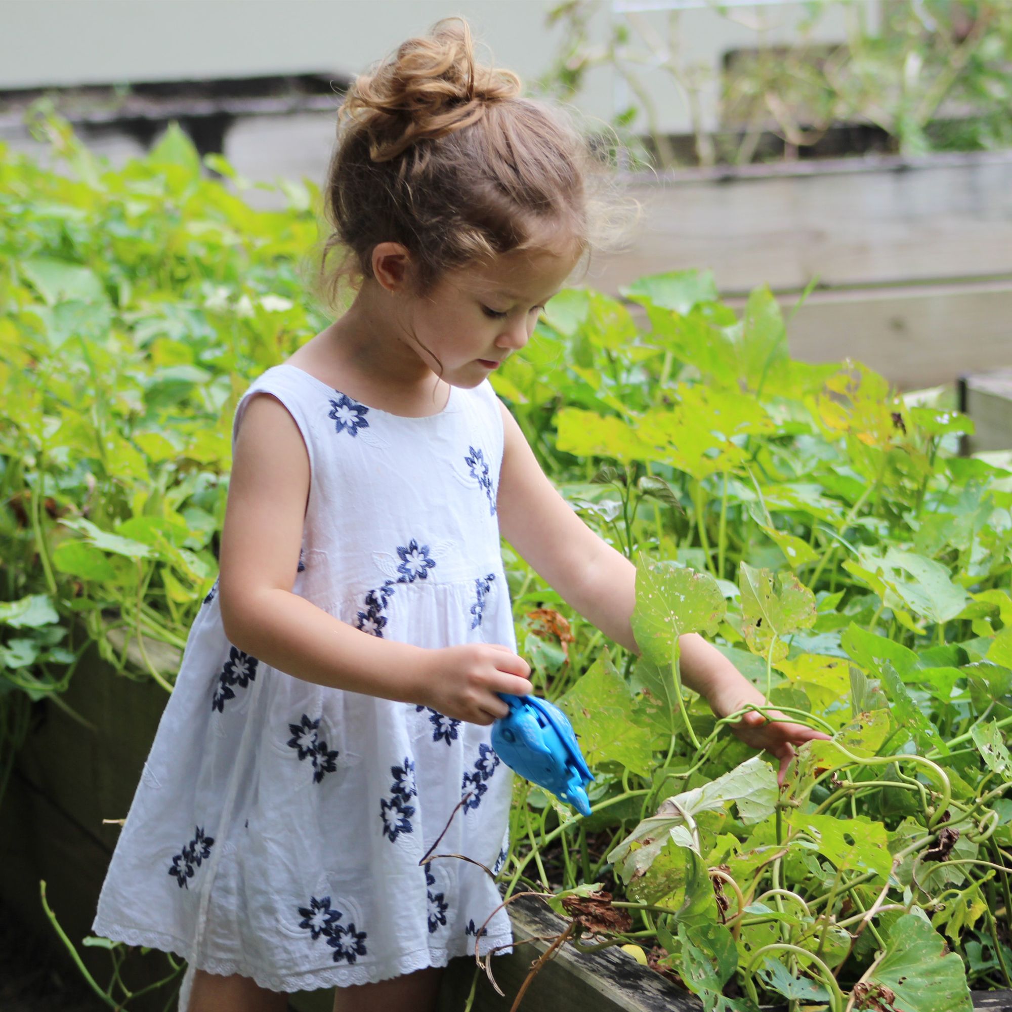 Do Your Little Ones Know How Plants Grow?