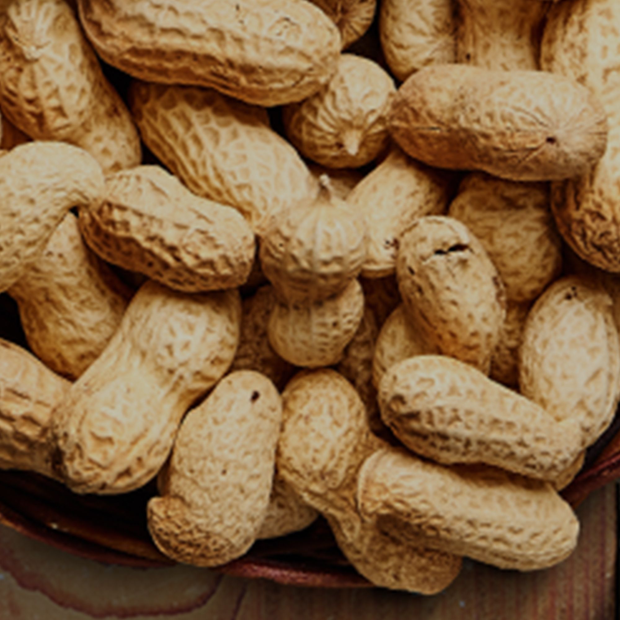 Everything You Need To Know About: Bambara Groundnuts