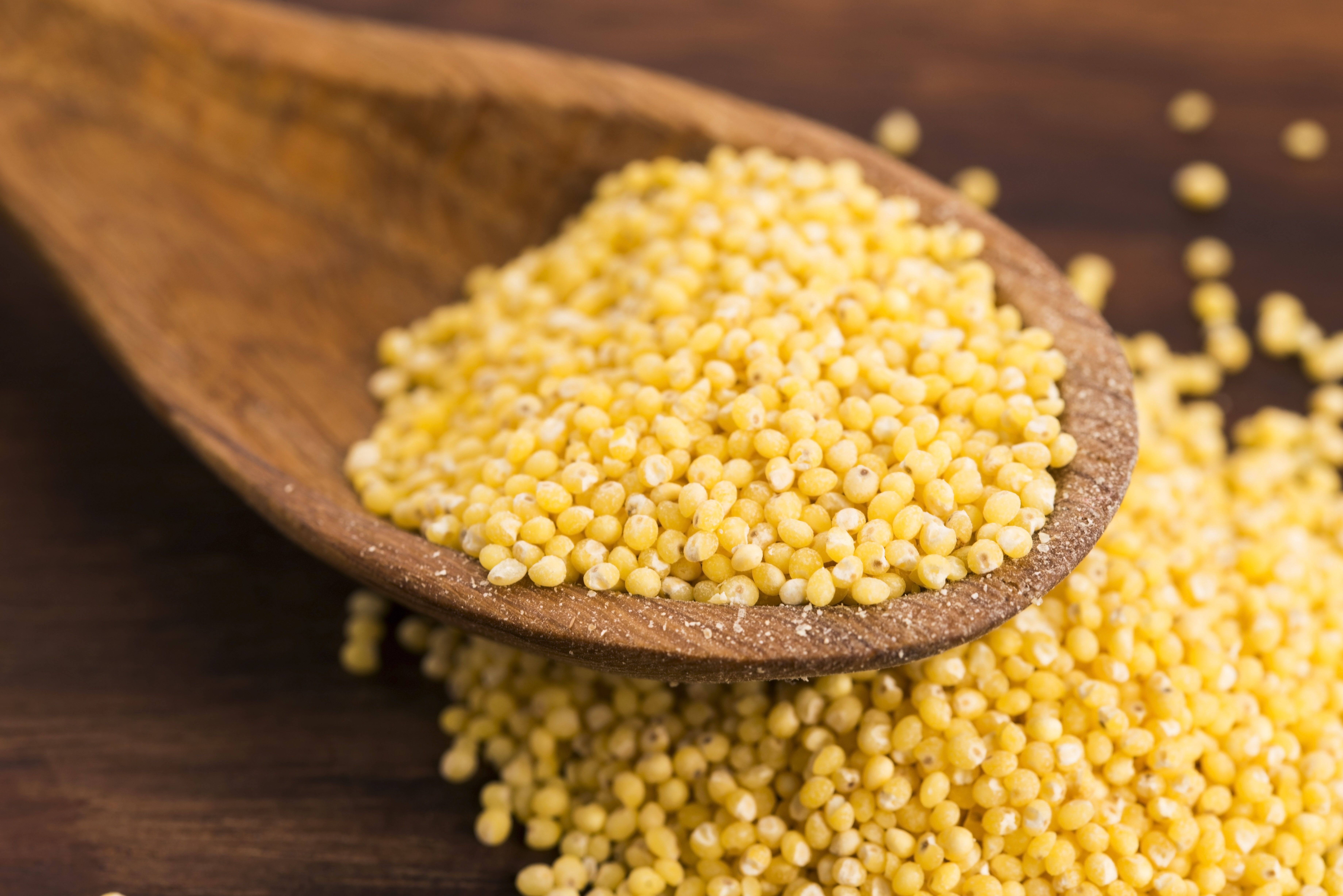 Everything You Need To Know About: Millet | whatsfordinner