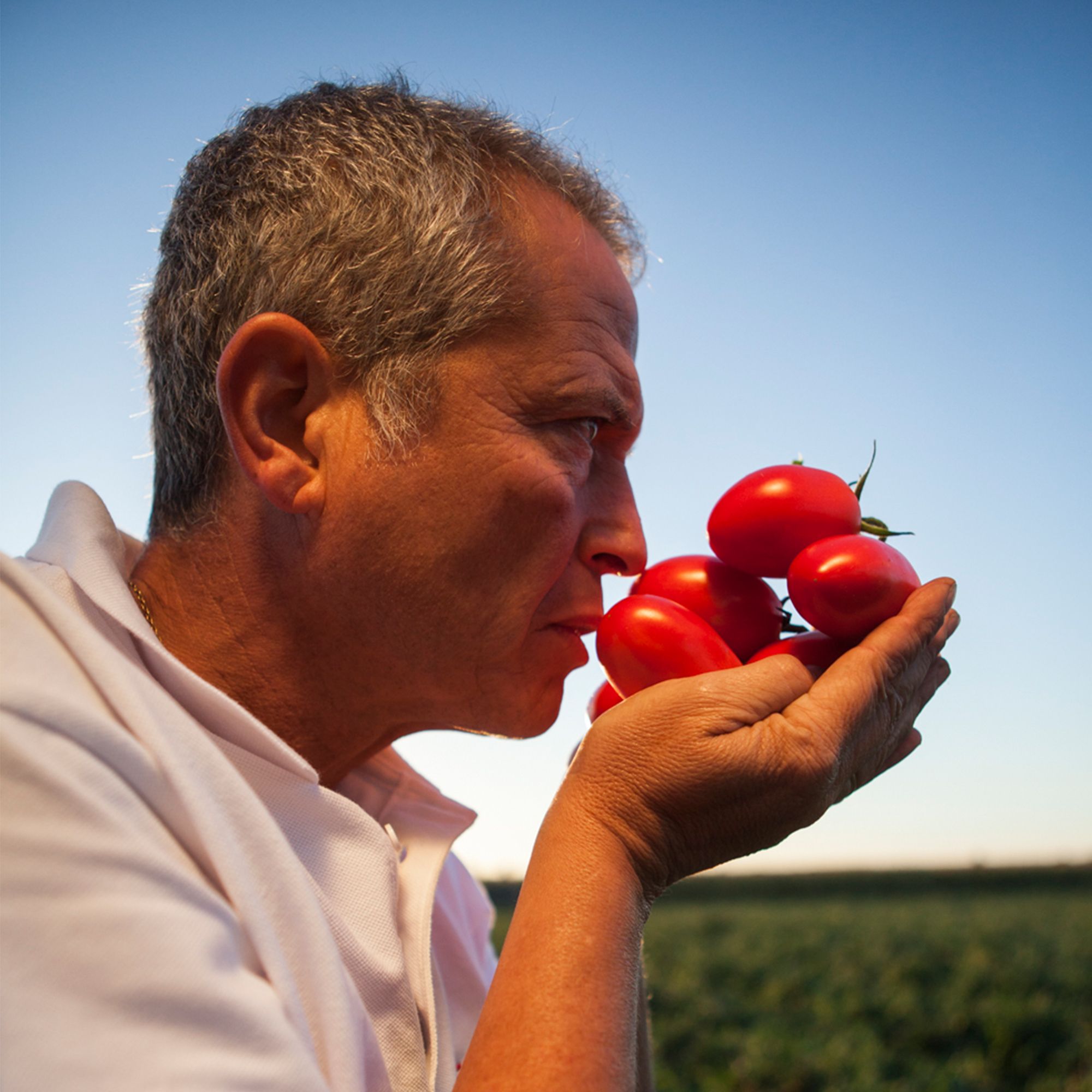 The Sniff and Smell Test