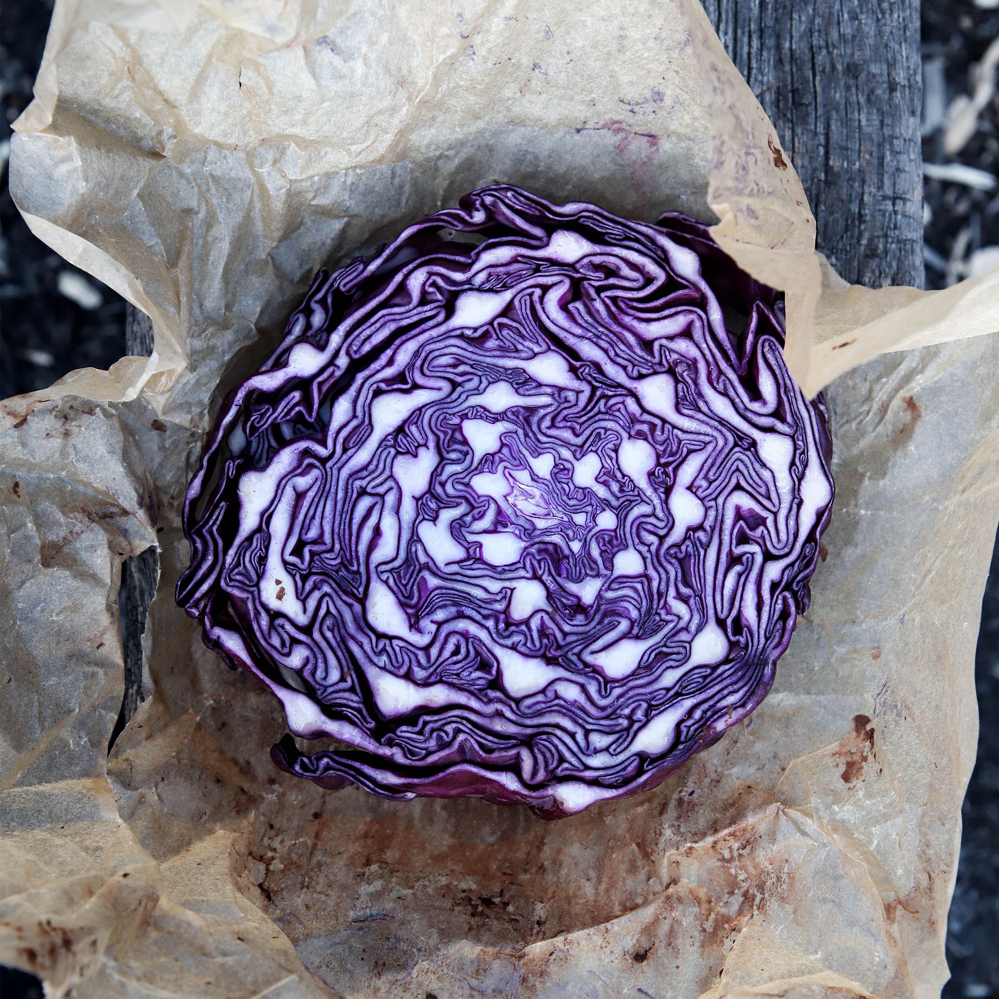 Everything You Need To Know About: Red Cabbage