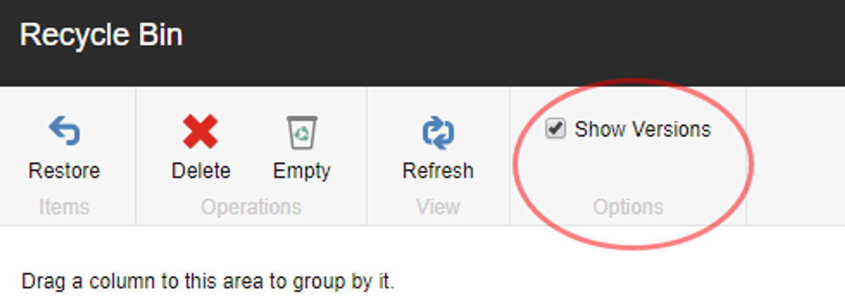 Sitecore Recycle Bin - Show Versions