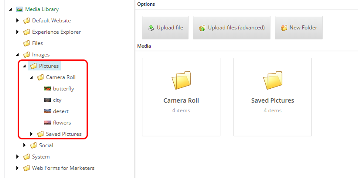 Unpacked files and folders