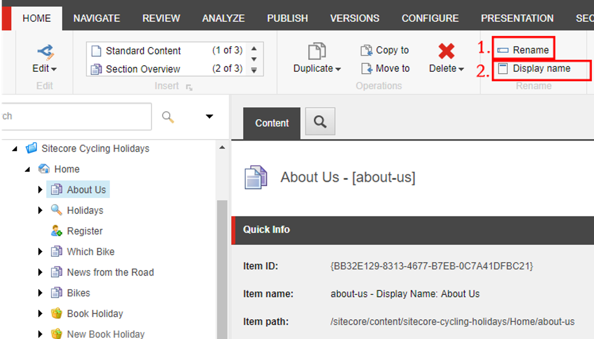 How to change the display name in Sitecore