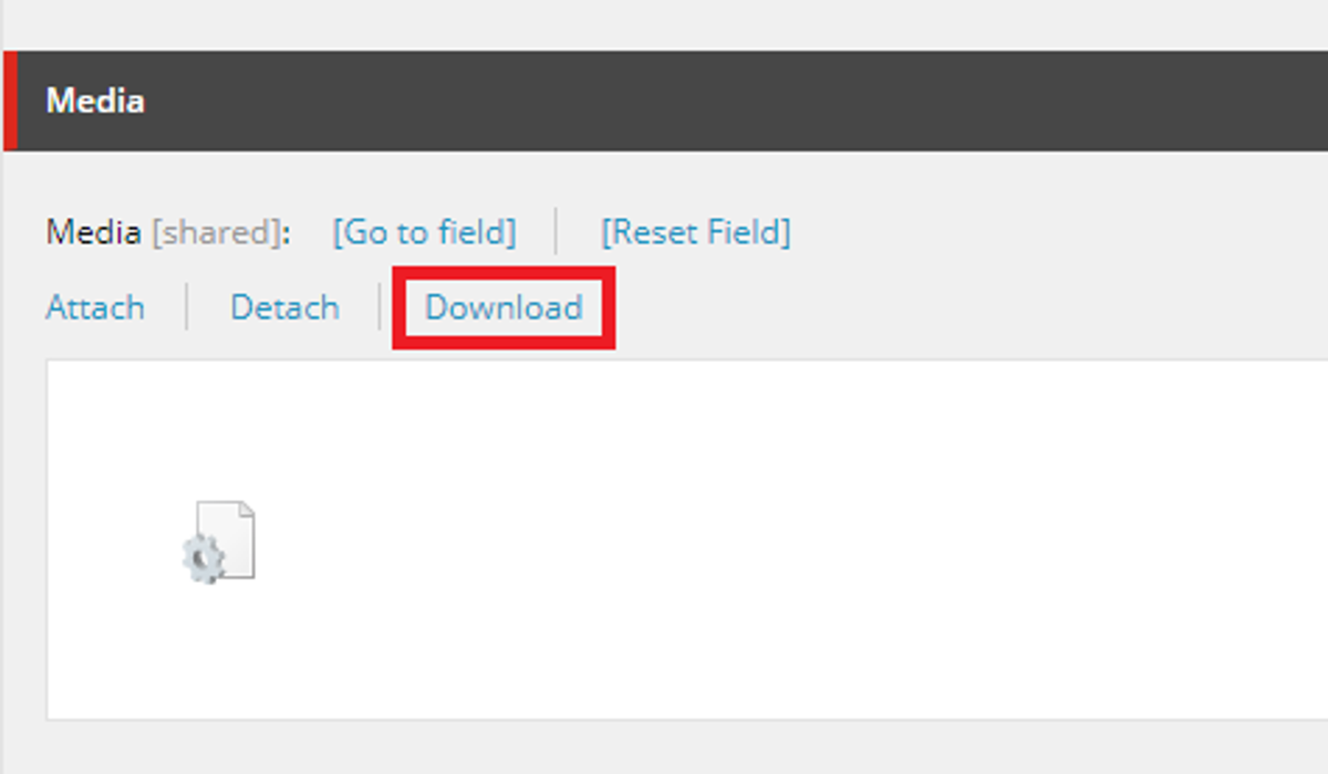 Media field in component style item