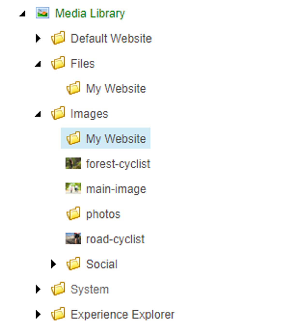 Media Library organization option 2 preferred