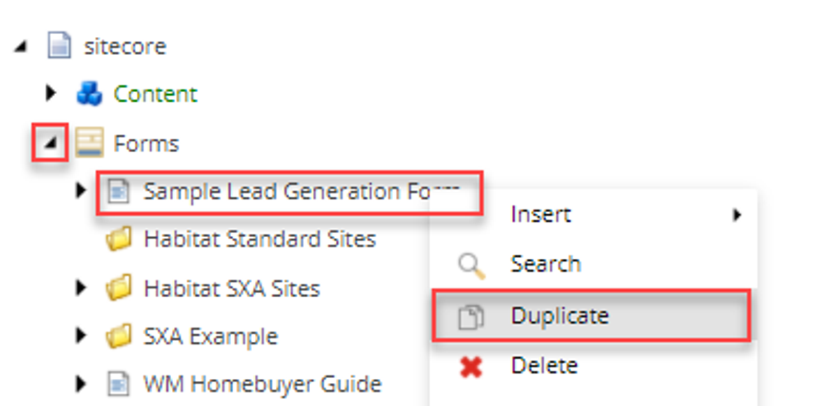 Duplicating a form
