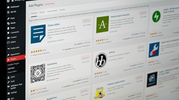 A computer screen displaying the WordPress plugin installation page with various software options