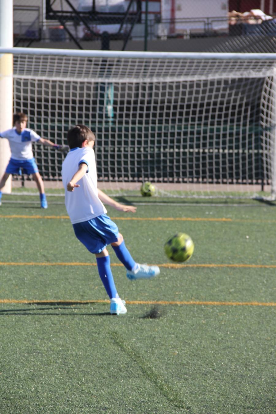 Nuestros pilares
