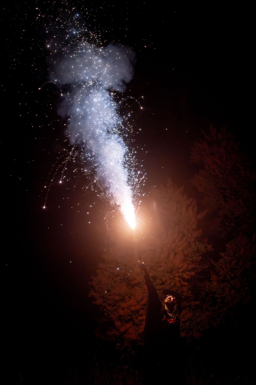 Photo du spectacle Koi