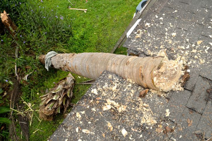 Roof Repair