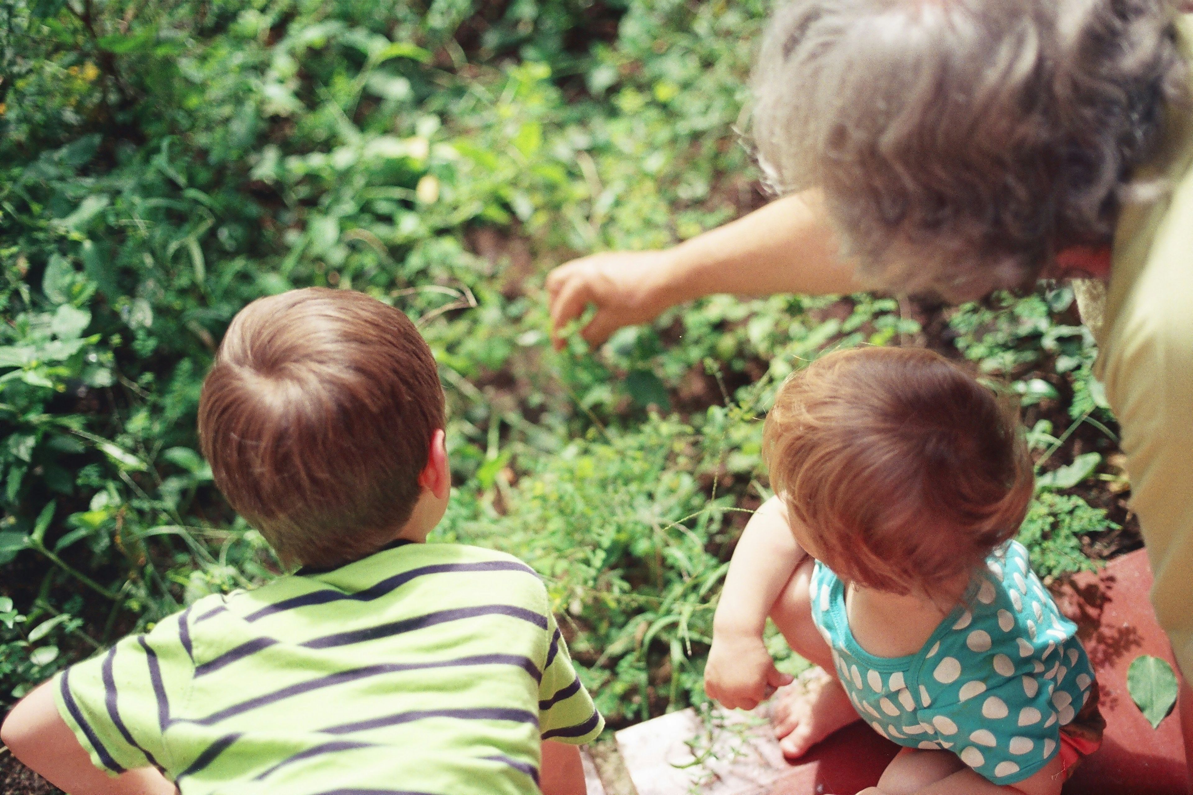 Grandmother and grandchildren
