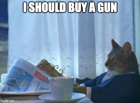 should i buy a gun