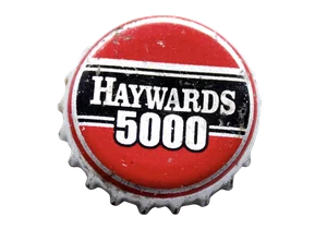 Hayward's 5000 logo · beverage brand served by Rapid BevTech
