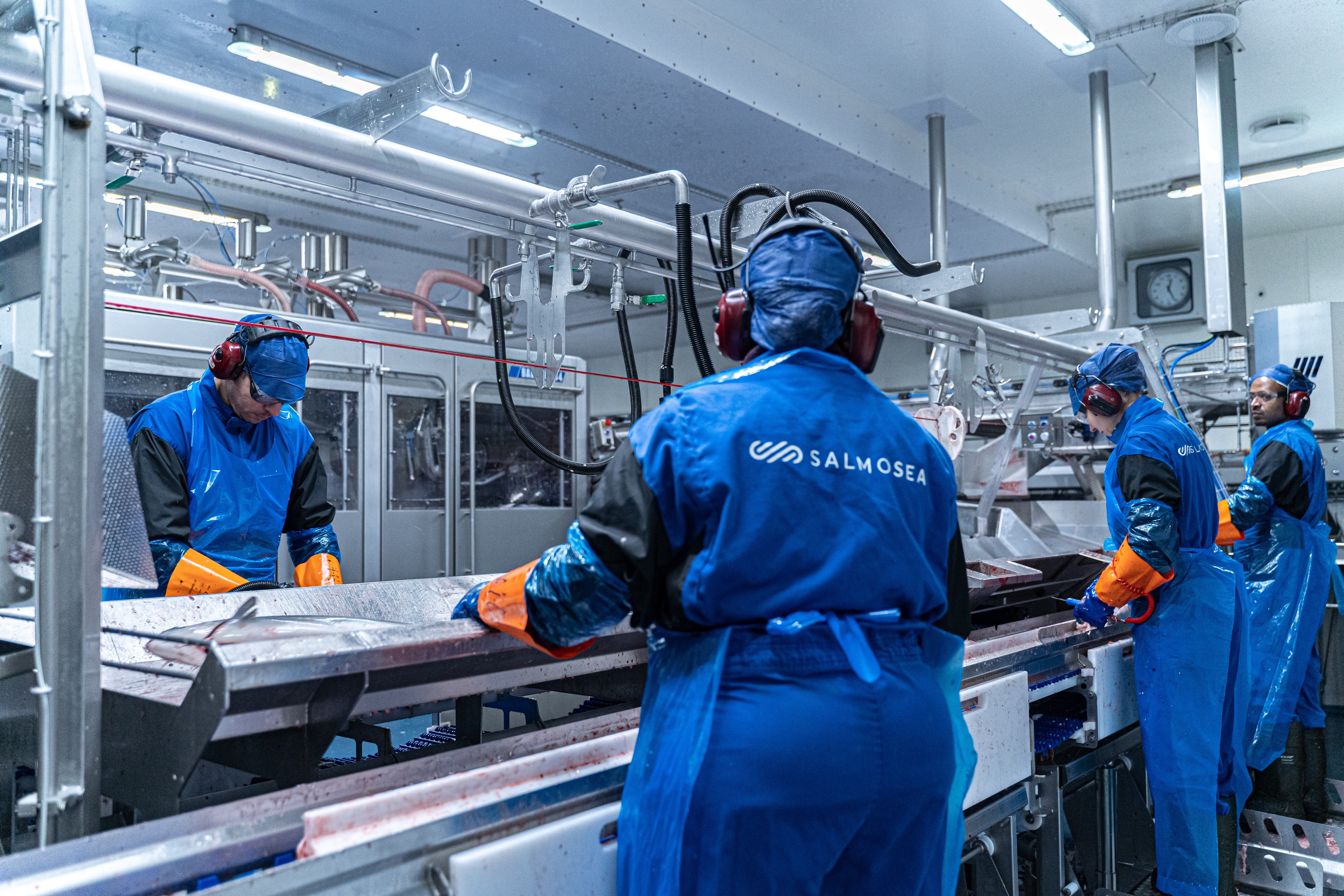 Fiskevelferdskurs Matfiskproduksjon