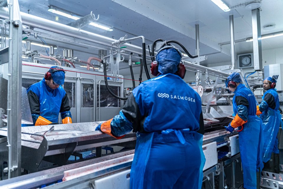 Fiskevelferdskurs Matfiskproduksjon