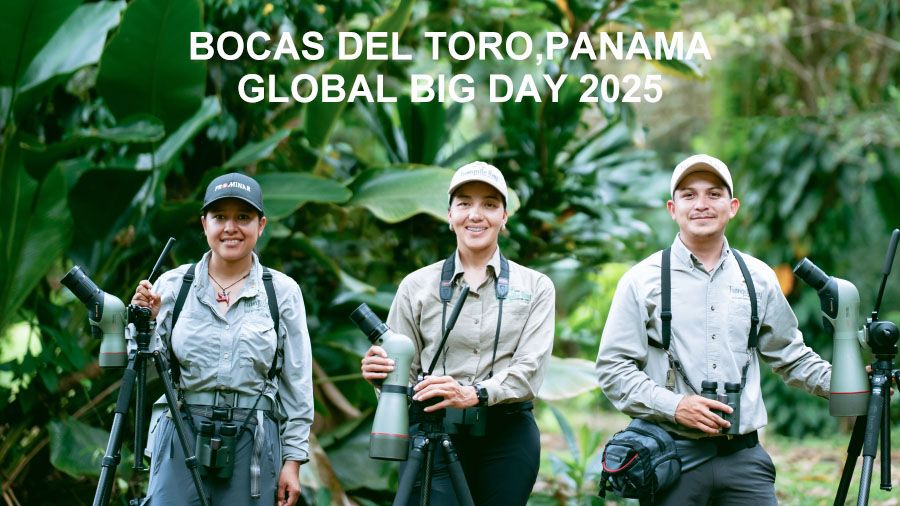 Bocas del Toro Global Big Day 2025