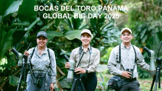 Bocas del Toro Global Big Day 2025